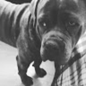 Meet your Posher, Denise